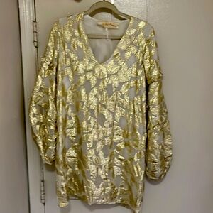 Jen’s Pirate Booty dress size XS , loose fit